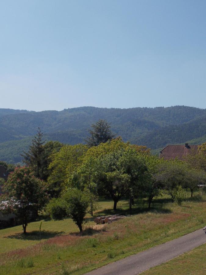 Willa Maison De Vacances "Le Longchamp" Osenbach Zewnętrze zdjęcie